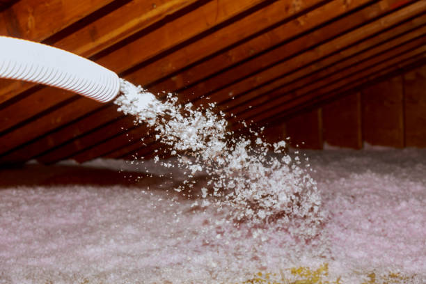 Best Eco-Friendly Insulation in Bayshore, NC