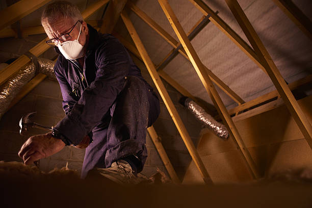 Types of Insulation We Offer in Bayshore, NC
