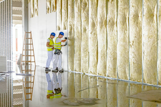 Best Specialized Insulation Services in Bayshore, NC